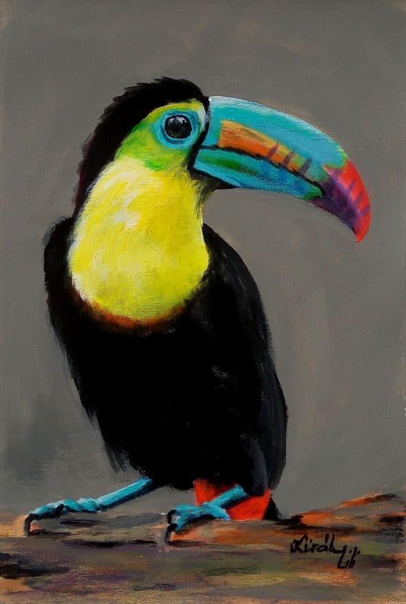 Tukán