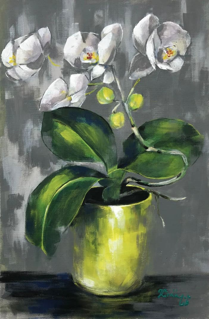 Fehér orchidea