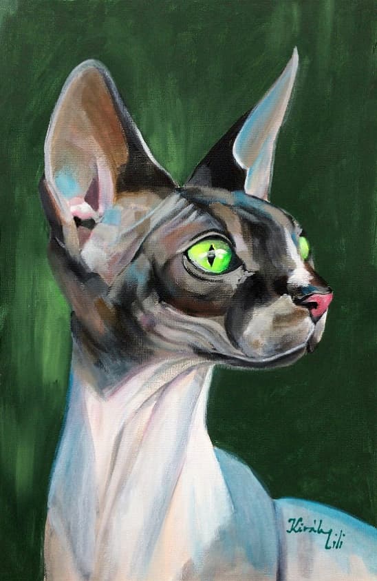 Sphynx